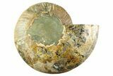 Cut & Polished Ammonite Fossil (Half) - Madagascar #359532-1